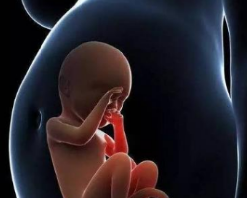 妊娠期香港验血能知道性别吗,人工受精双胞胎一次多少钱？人工授精备孕须知