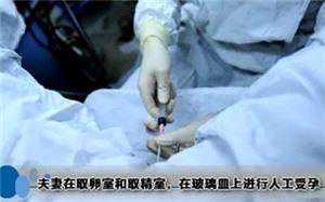 一胎女儿二胎要去香港验血吗,做试管婴儿的全过程中所需注意的小细节