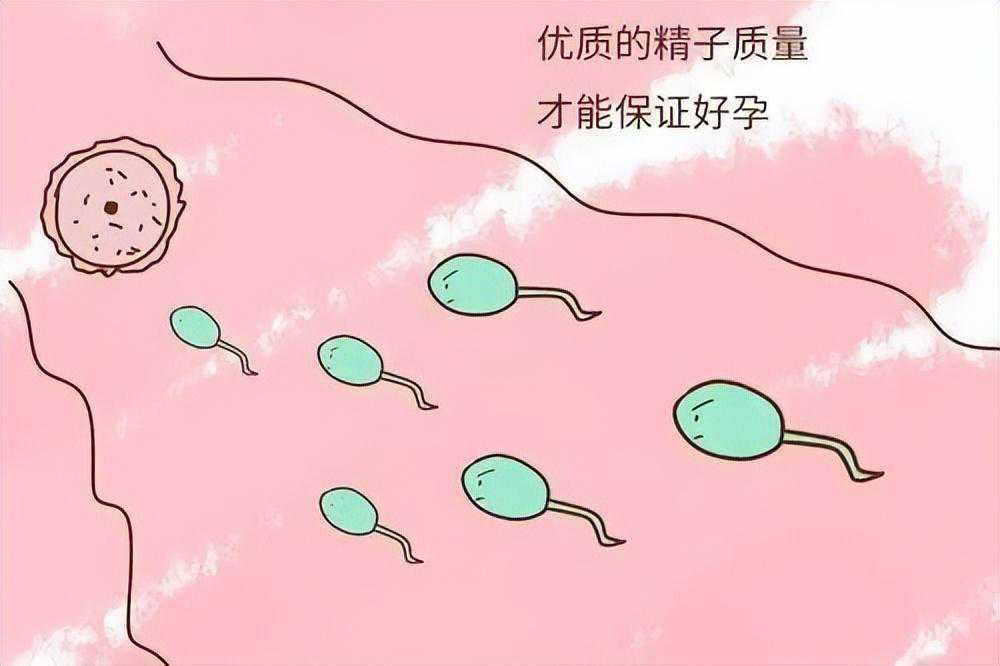 上个月生化了这个月怀孕香港验血,人工授精或试管婴儿，一文教你该如何选择