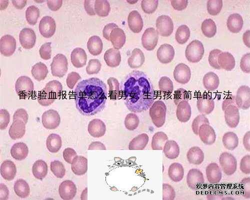 香港验血报告单怎么看男女,生男孩最简单的方法