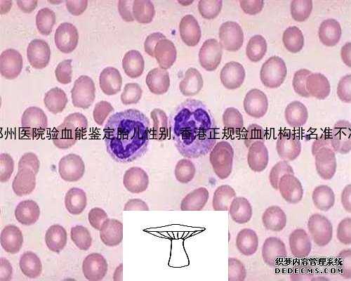 郑州医院验血能鉴定胎儿性别,香港正规验血机构排名准不准